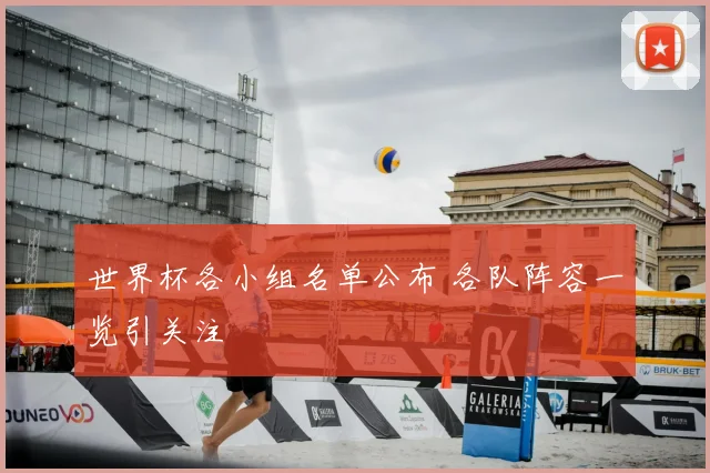 世界杯各小组名单公布 各队阵容一览引关注