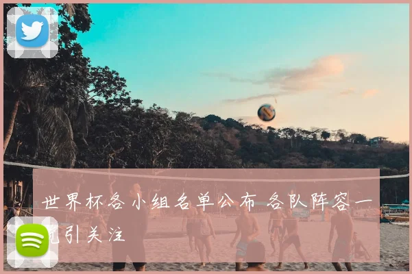 世界杯各小组名单公布 各队阵容一览引关注