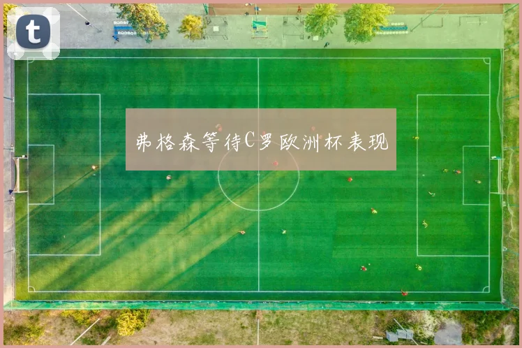 弗格森等待C罗欧洲杯表现