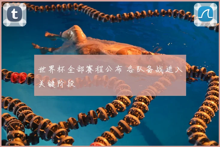 世界杯全部赛程公布 各队备战进入关键阶段