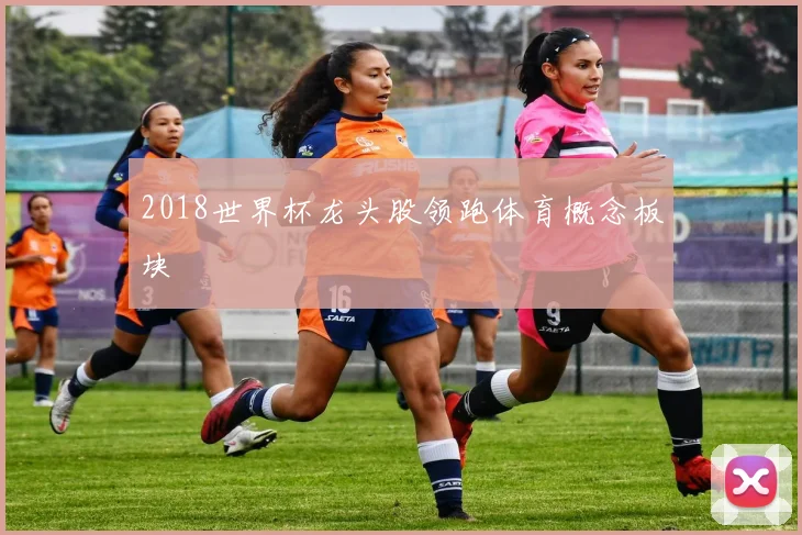 2018世界杯龙头股领跑体育概念板块