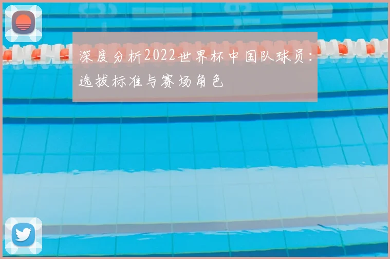 深度分析2022世界杯中国队球员:选拔标准与赛场角色