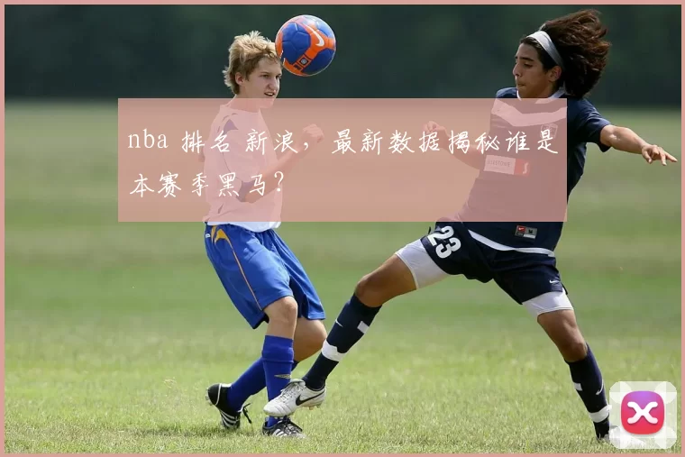 nba 排名 新浪,最新数据揭秘谁是本赛季黑马?